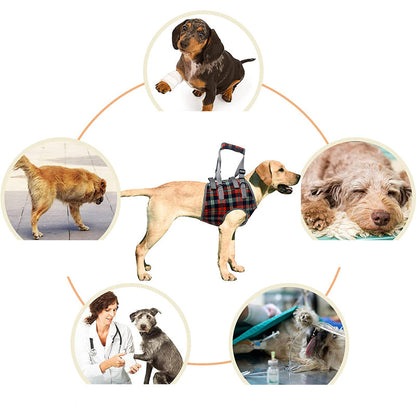 Orthopädisches Hundegeschirr — Gehhilfe für Hinter- & Vorderbeine