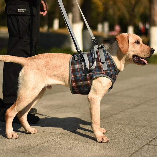 Orthopädisches Hundegeschirr — Gehhilfe für Hinter- & Vorderbeine