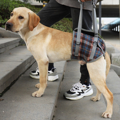 Orthopädisches Hundegeschirr — Gehhilfe für Hinter- & Vorderbeine