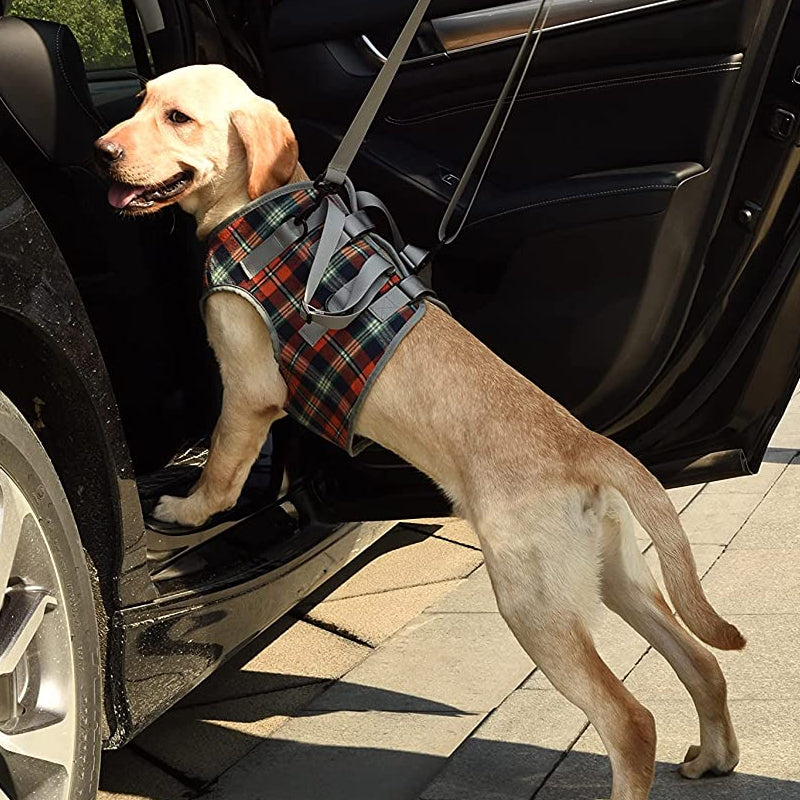 Orthopädisches Hundegeschirr — Gehhilfe für Hinter- & Vorderbeine