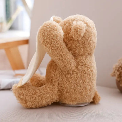 BuddyBear – Der Peek-a-Boo Teddybär, der Ihr Baby jedes Mal zum Lachen bringt