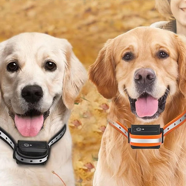 Hundehalsband mit Fernbedienung bis 1000m - Endlich entspannte Spaziergänge